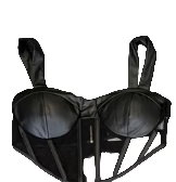 Satin Sheer Corset Bustier Top