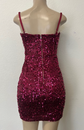 Sequence Sexy Dress