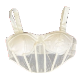 Satin Sheer Corset Bustier Top
