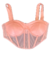 Satin Sheer Corset Bustier Top