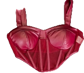 Satin Sheer Corset Bustier Top