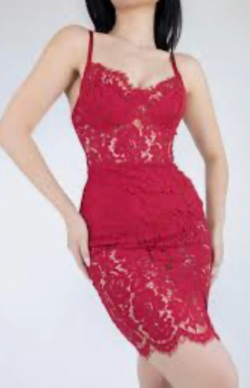 Lace Bustier Mini Dress